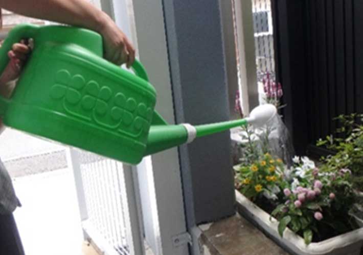 雨水を再利用して、植栽へ水やり